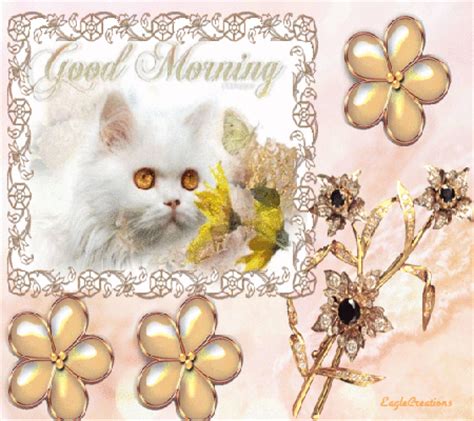 Good Morning Kitty Pictures, Photos, and Images for Facebook, Tumblr, Pinterest, and Twitter