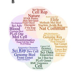 Pipelines for bulk ATAC-seq data analysis | Download Scientific Diagram