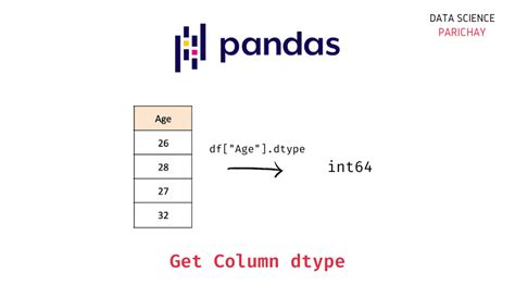 Pandas - Get Column data type - Data Science Parichay