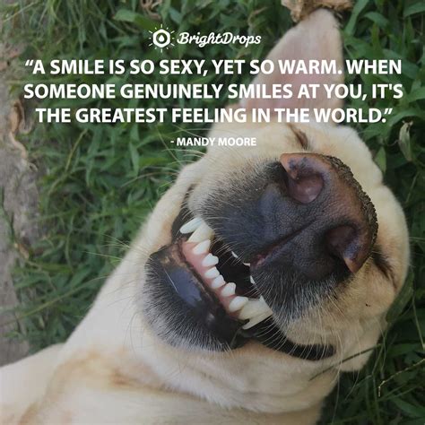 28 Smile Quotes on the Power of Smiling - Bright Drops