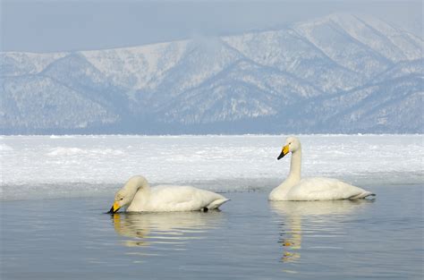 Kussharo Lake by Harry Eggens / 500px