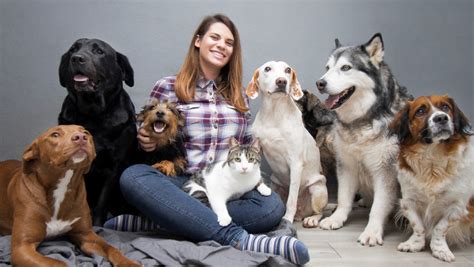 Becoming a pet sitter in 2020 | Jobrapido Blog