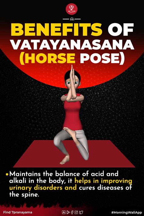 Vatayanasana | Horse Pose | Steps | Benefits | - 7pranayama.com | Yoga facts, Yoga education ...