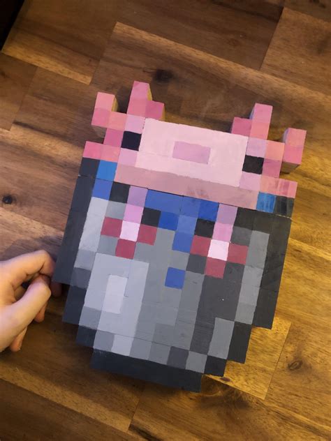 Irl Bucket of Axolotl : r/Minecraft