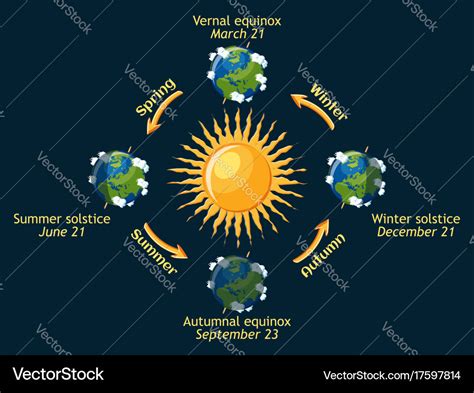 Cycle earth seasons year autumnal and Royalty Free Vector