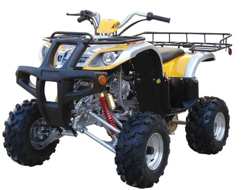 110cc ATV 2007 with CE Certificate (XY-ATV110C) - China Atv and Atvs price