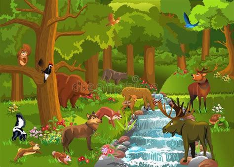 the animals are in the forest by the stream