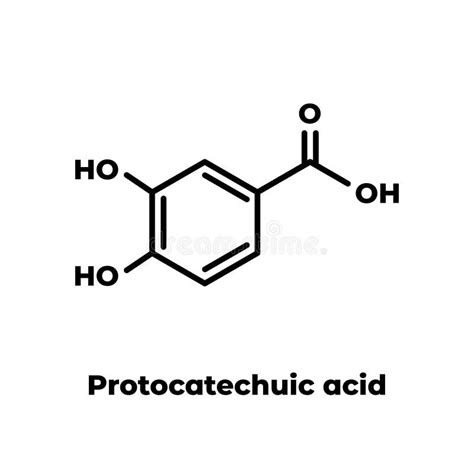 Protocatechuic Acid PCA Green Tea Antioxidant Molecule. Skeletal ...