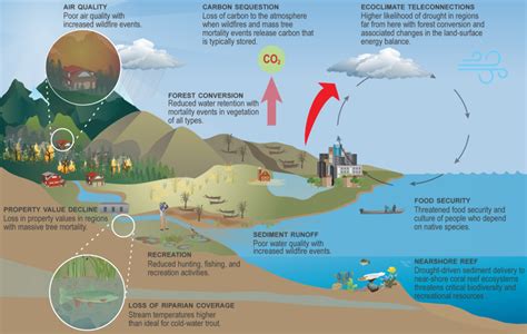 A new paper by Shelley Crausbay and colleagues describes how ecological drought has entered ...