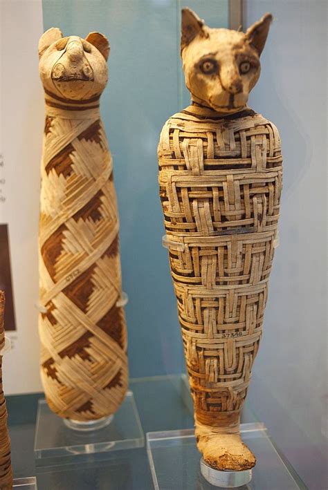 Egyptian animal mummies, British Museum, Bloomsbury, London (с) Robert Harding Productions ...