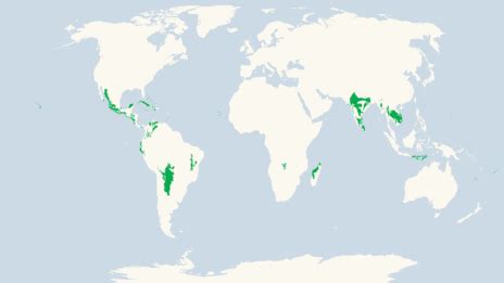 Tropical and subtropical dry broadleaf forests - Alchetron, the free social encyclopedia