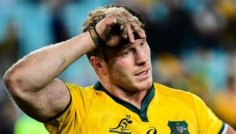 Super Rugby 2019: David Pocock announces retirement but holds out hope ...