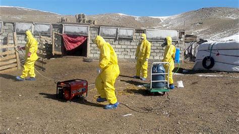 Bubonic Plague Scare Closes Russia-Mongolia Border, Trapping Russian Tourists - The Moscow Times