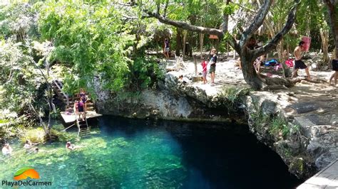 Jardin del Eden Cenote - Review - Playa del Carmen Blog