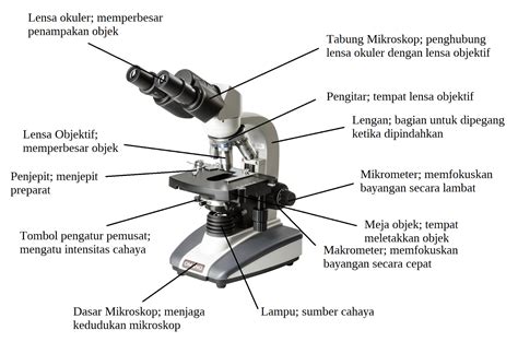 Cara Menggunakan Mikoskop Beserta Fungsinya