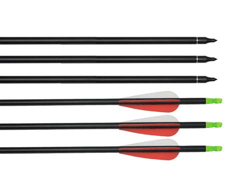 2 dozens archery hunting carbon arrows 31 inch compound bow arrows-in ...