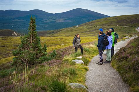 DSC03180 - Cairngorm Mountain