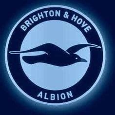 Brighton Fc Logo / Brighton & Hove Albion F.C. 'Seagull' crest installed ... : Brighton fc logo ...