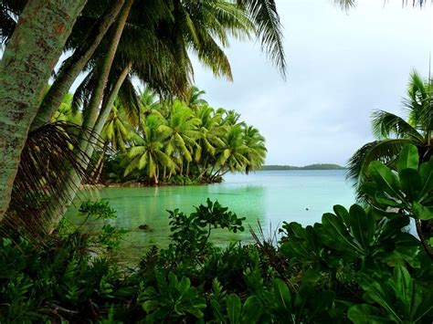 Una isla tropical tan perdida que solo le falta una película de náufragos (Palmyra Atoll) - 101 ...