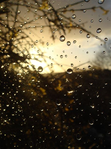 Rain drops on my window | Rain drops on the window | Flickr