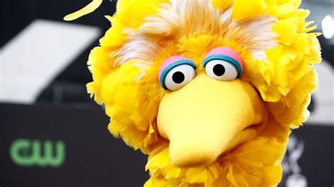 President Joe Biden congratulates Big Bird for COVID vaccine while Texas senator accuses Sesame ...