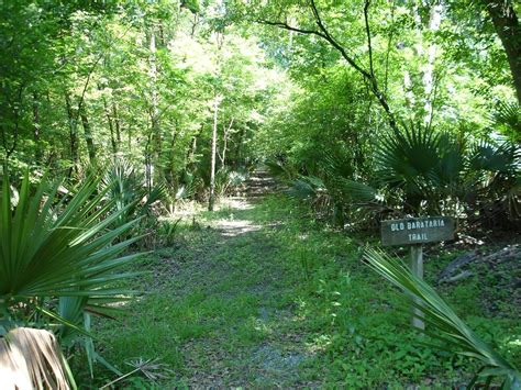 pic journal: Old Barataria Trail