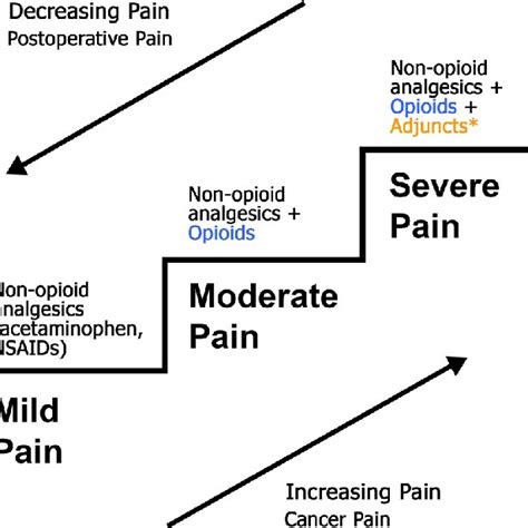 The World Health Organization (WHO) pain ladder modified for Acute Pain ...