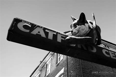 The Catford Cat - London Photography - Tube Mapper