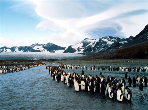 Curiosidades del Mundo: Islas Georgias del Sur (Argentina).