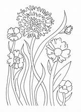 Coloring Pages Flowers Easy sketch template