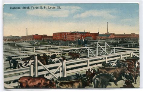 National Stock Yards East St Louis Illinois 1910c postcard / HipPostcard