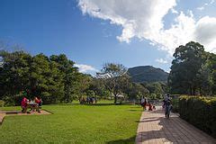 Category:Wollongong Botanic Garden - Wikimedia Commons