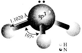 Explain the structure of ammonia. - Sarthaks eConnect | Largest Online ...