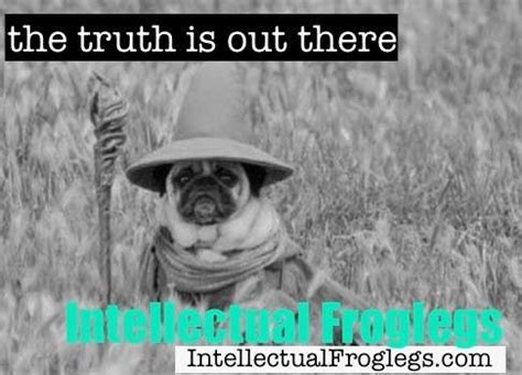 Subscribe — Intellectual Froglegs