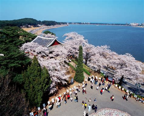 #Travel: Off The Beaten Track In Gangneung, The East Coast City Of South Korea | Hype Malaysia