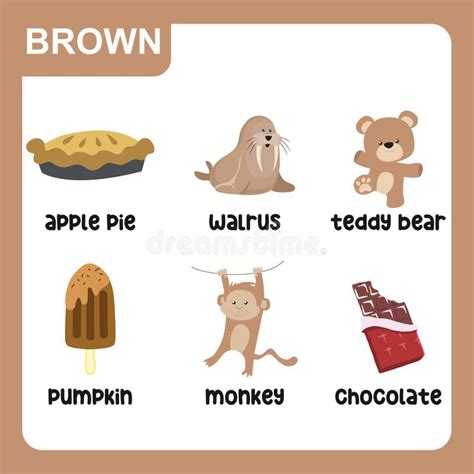 Set of Brown Color Objects. Primary Colours Flashcard with Brown Elements Stock Vector ...