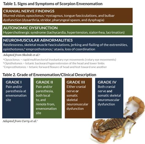 scorpion bite,what to know?