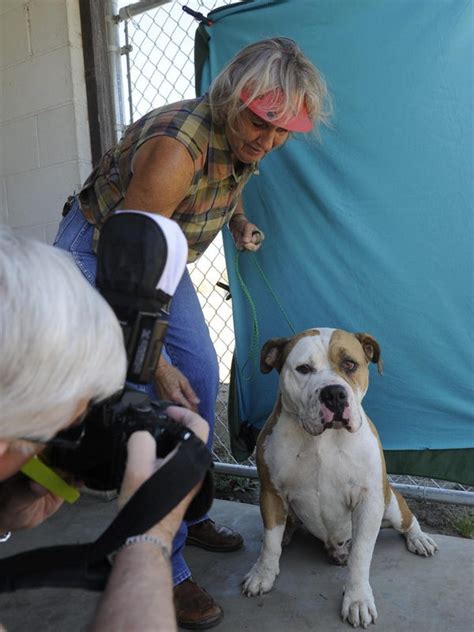 SPCA volunteers help pets get adopted with photography