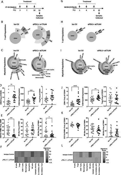 Longitudinal immune characterization of syngeneic tumor models to enable model selection for ...