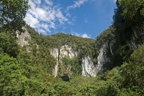 Gunung Mulu National Park - UNESCO World Heritage Site | Gunung mulu ...