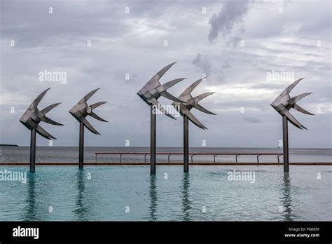 lagoon pool on Cairns esplanade Stock Photo - Alamy