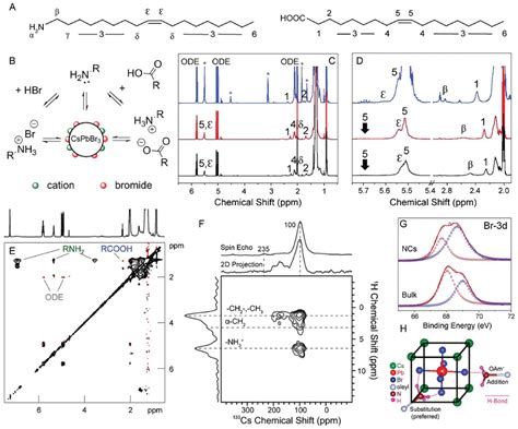 Ligand shell characterization. A) Molecular structure of oleylamine... | Download Scientific Diagram