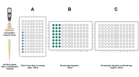 AMPure XP beads protocol for PCR purification | INTEGRA