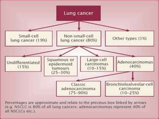 CLASSIFICATION OF LUNG TUMORS | PPT