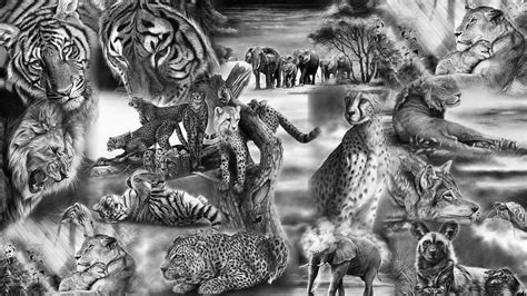 [2024] 🔥Wild And Elephants Cheetah Africa Gray Peter Williams Art Black ...