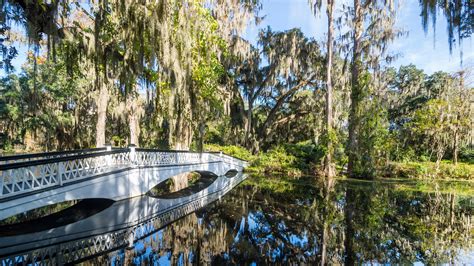 Magnolia Plantation & Gardens, Charleston, South Carolina, U.S. - Tour Review | Condé Nast Traveler