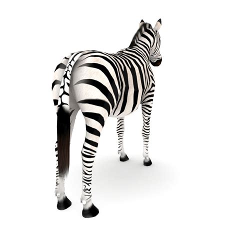 Zebra 3D Model $5 - .max .3ds .fbx .obj - Free3D