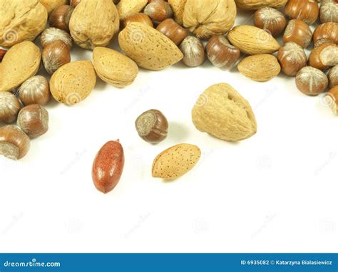 Nuts: Hazelnuts,walnuts,almonds. Stock Photo - Image of brown, isolated ...