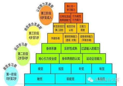 儿童大脑分阶段发育图分析_护理保健_幼教网