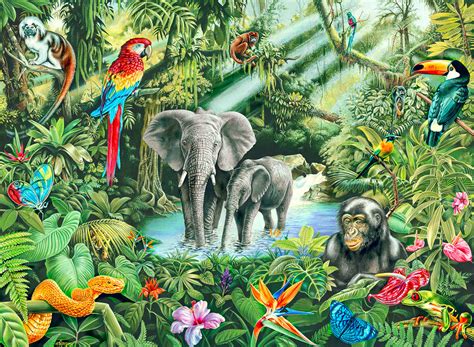 rainforest animals by doodlebat72 on DeviantArt